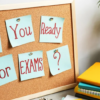 NCERT Class 10 SST Chapter Wise Notes for Board Exam | StudySeed