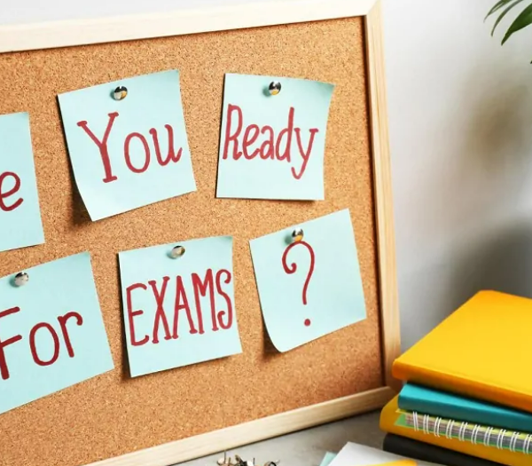 NCERT Class 10 SST Chapter Wise Notes for Board Exam | StudySeed
